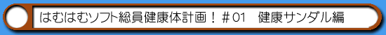 はむはむソフト総員健康体計画